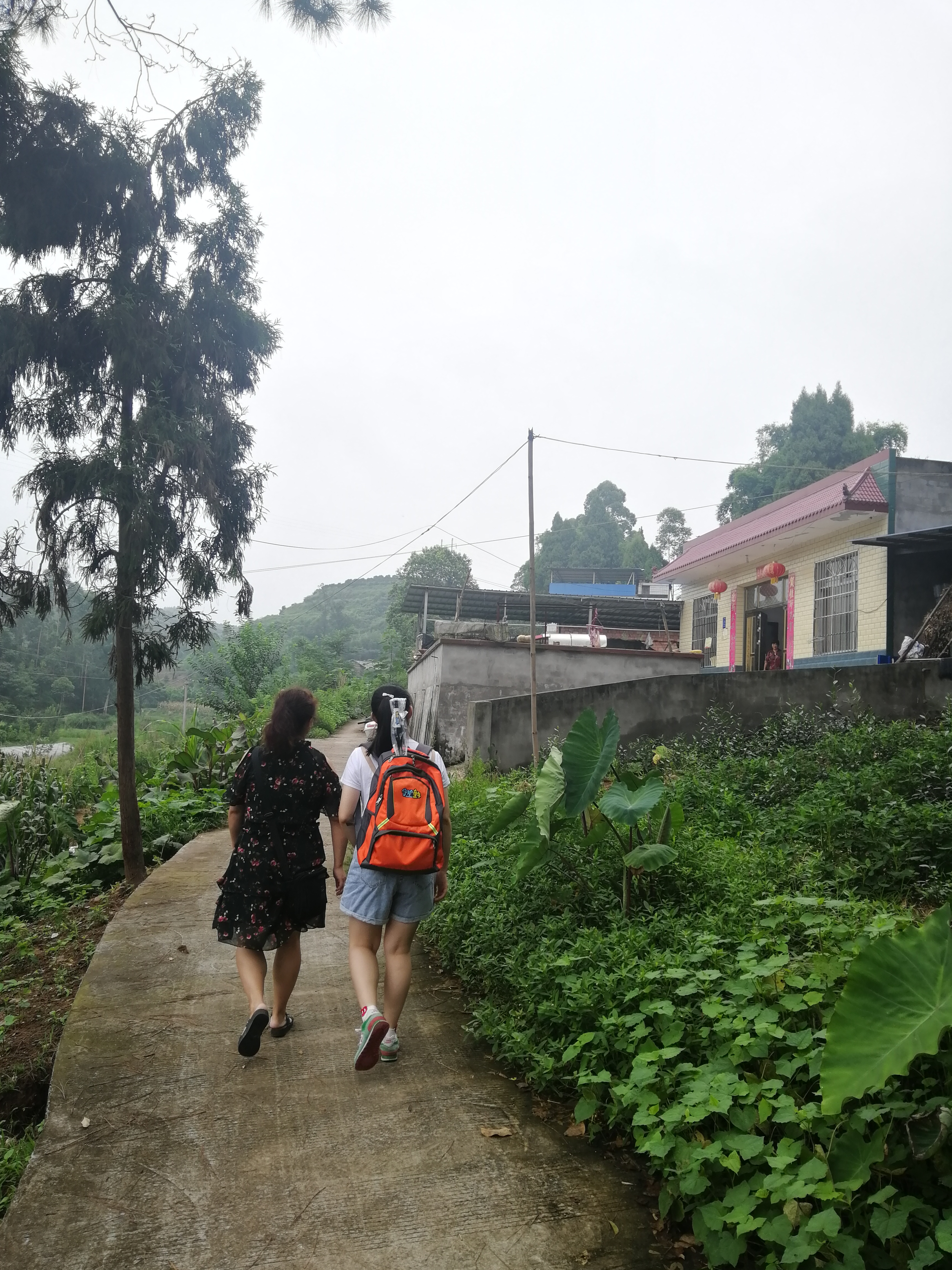 保护儿童安全共同成长直播2020年,关爱儿童安全携手儿童成长