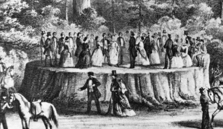 人类用8年就灭亡的动物,人类用八年就灭杀的动物