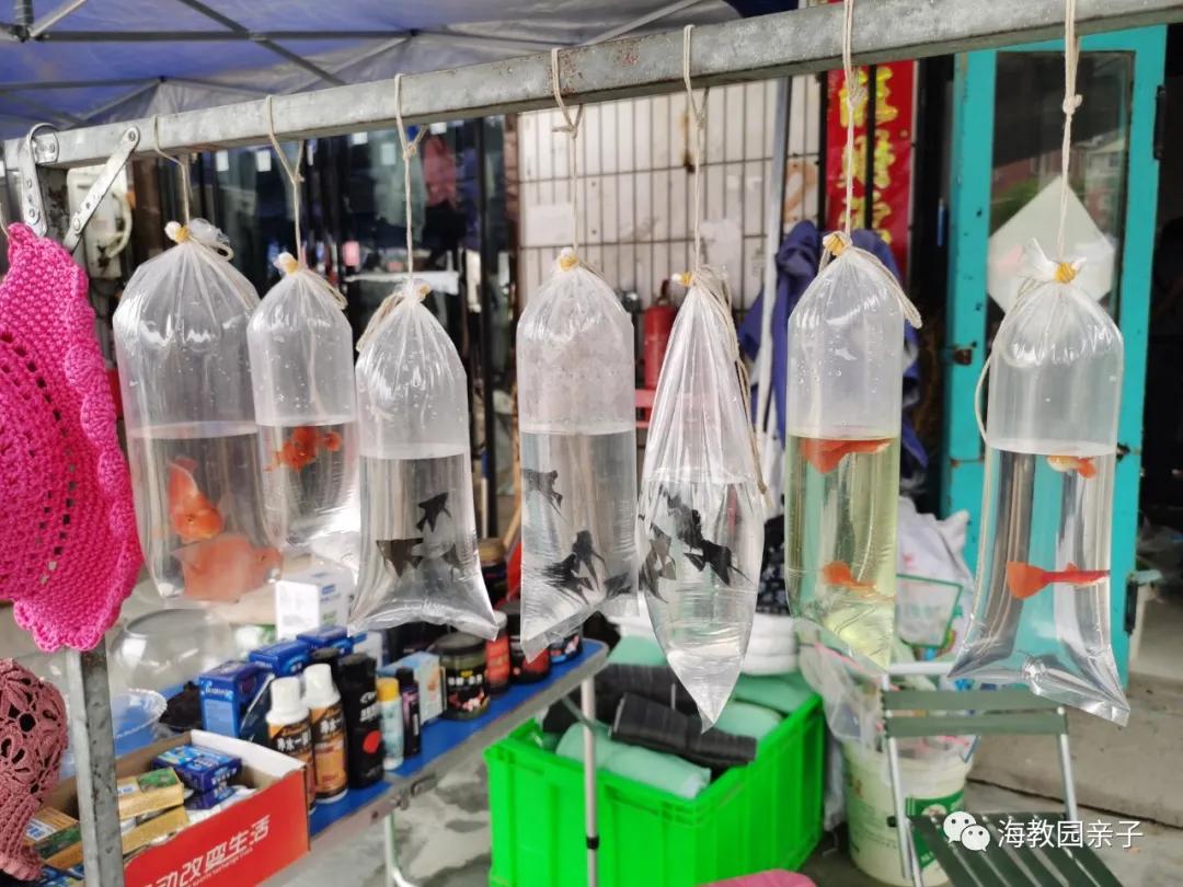 咸水沽大集现在还能赶集吗,咸水沽赶大集在哪里