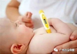 新生婴儿溶血性黄疸怎么照顾,新生儿溶血性黄疸护理月嫂
