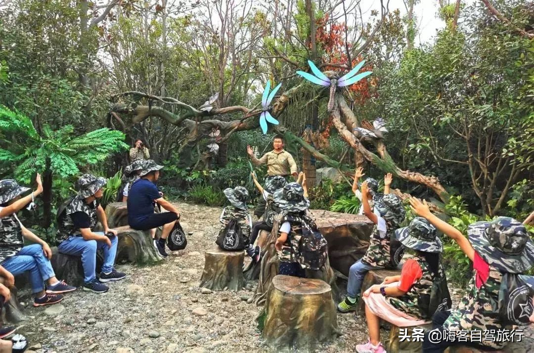 常州恐龙园欢乐行旅游攻略,常州环球恐龙城和中华恐龙园