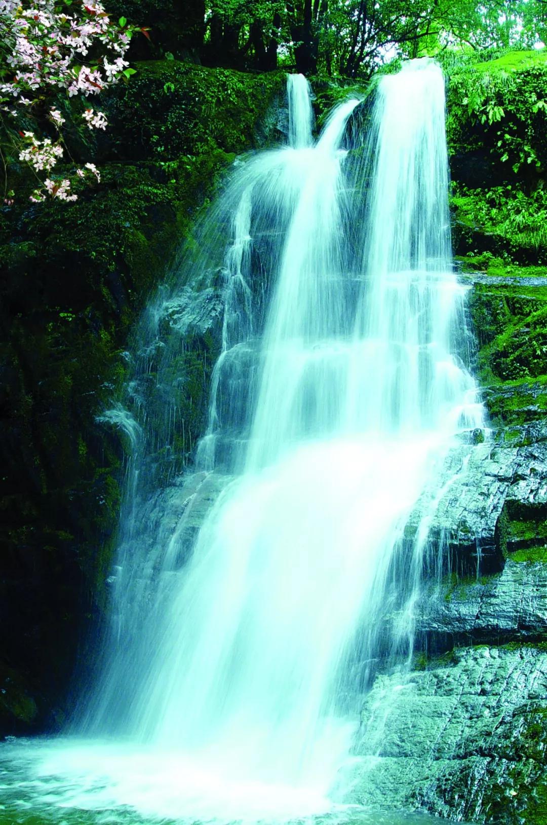 甘肃陇南属于西北吗,陇南是不是甘肃的好地方