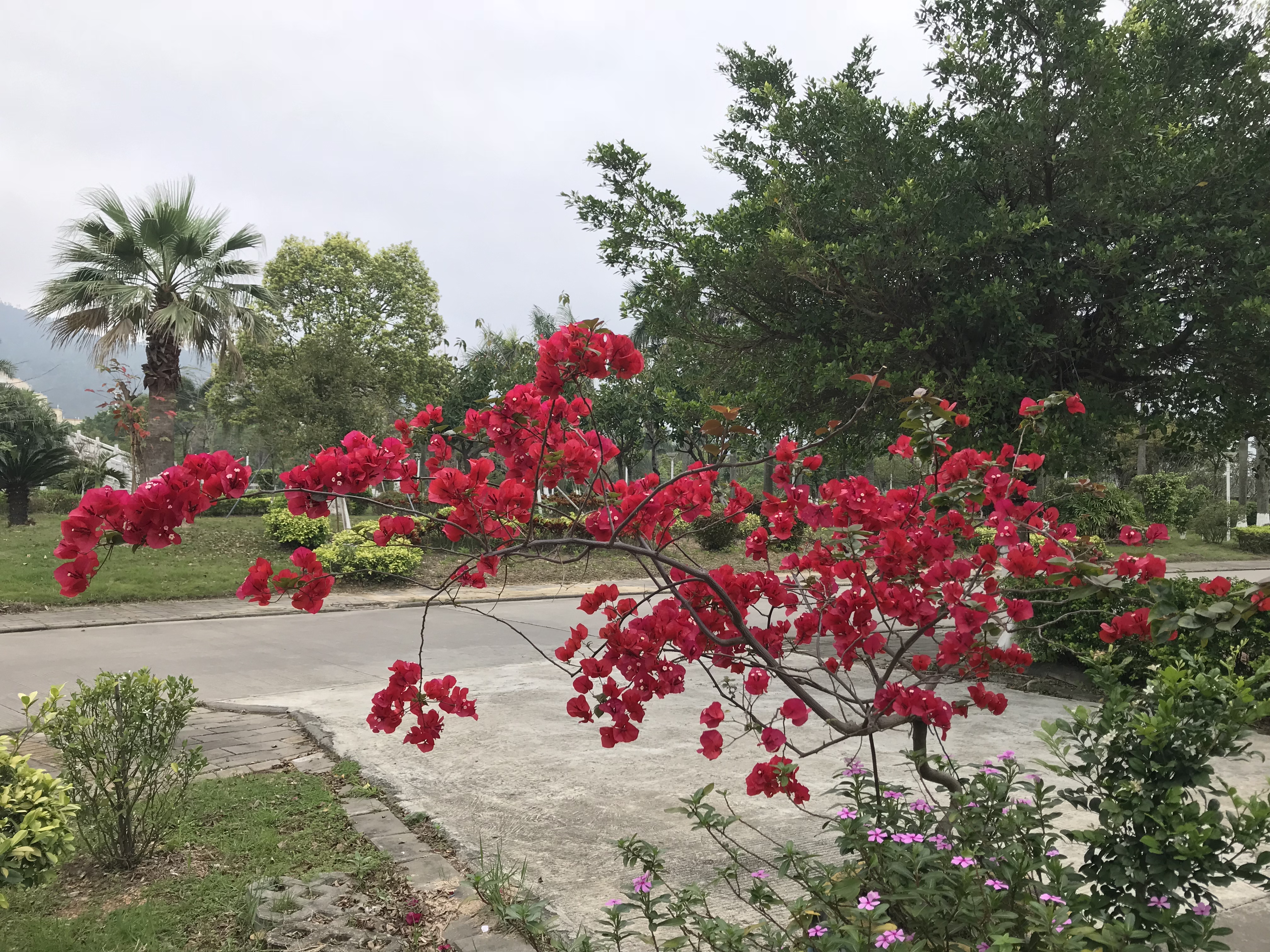 恋爱要给对方足够的空间和时间,恋爱需要彼此给对方一次机会