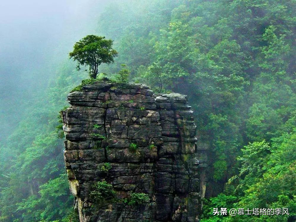 贵州适合养老的小城,贵州哪个城市最适合养老居住