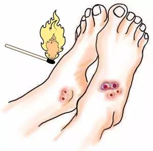 野外遇见巨型眼镜王蛇,近两米长眼镜王蛇