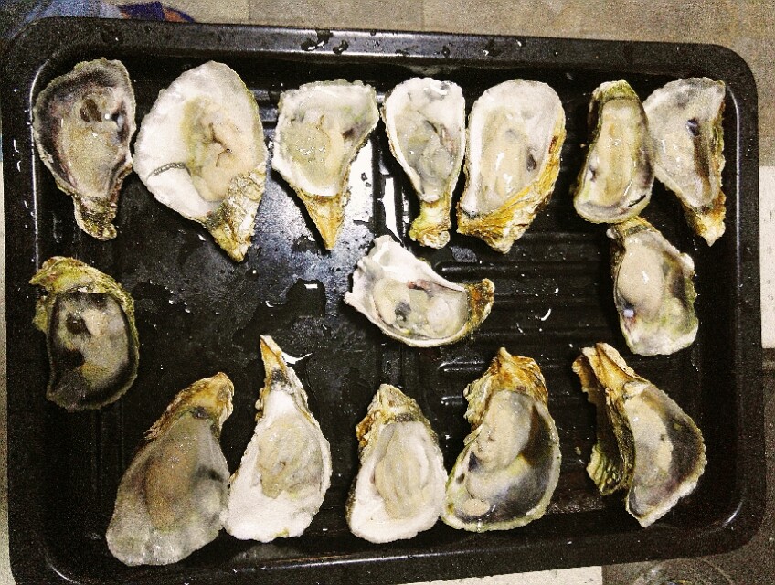 周末的生活，超幸福！为何如此简单？