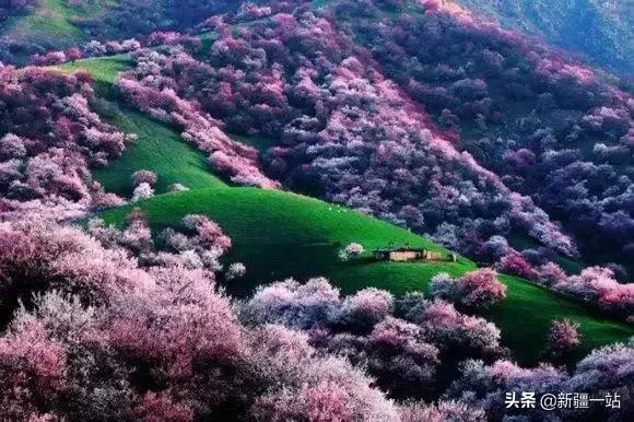 疆内哪里好玩风景好夏天,入疆必看景点大全