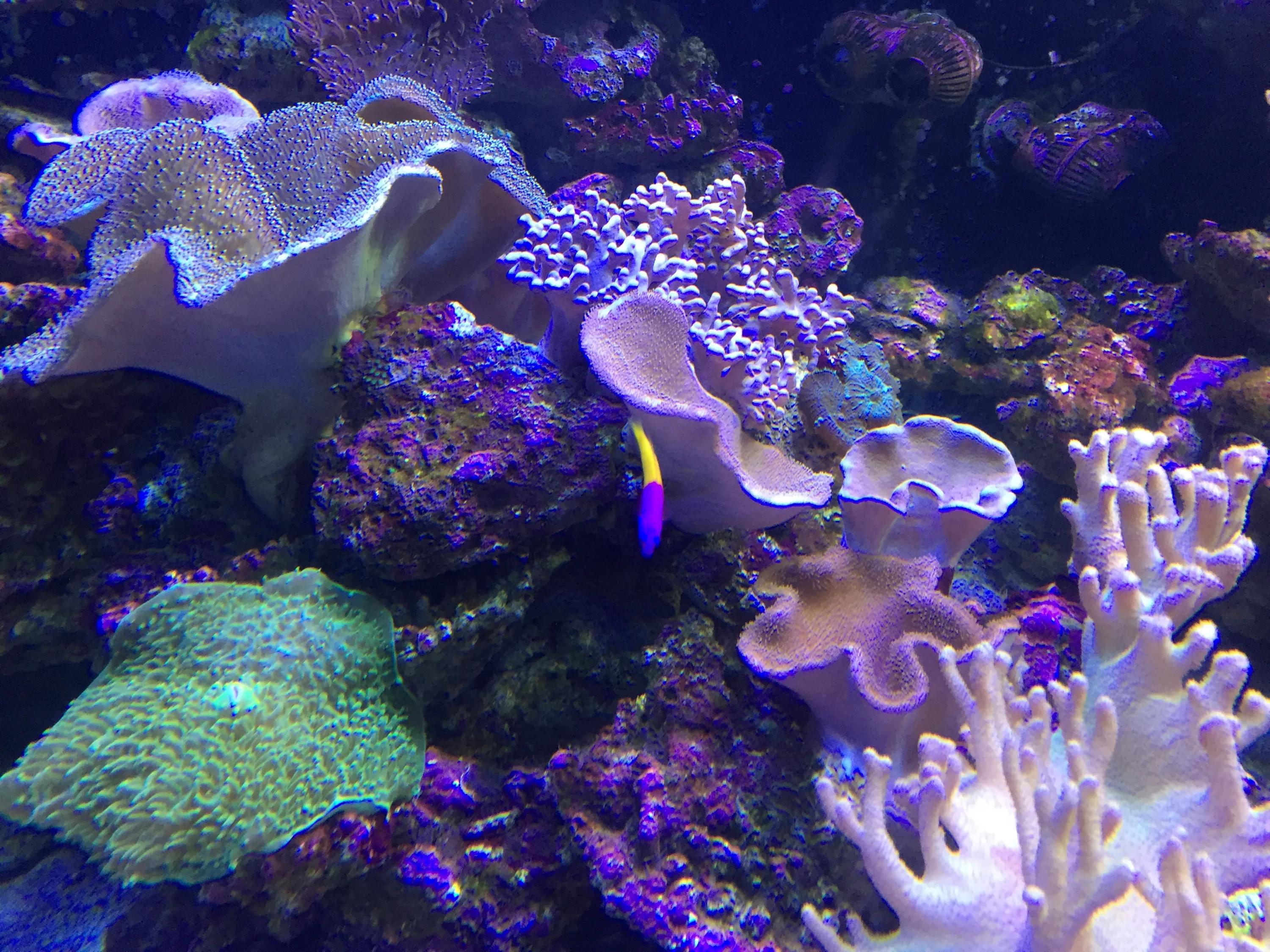 富国海底世界京津冀,富国海底世界门票京津冀卡优惠