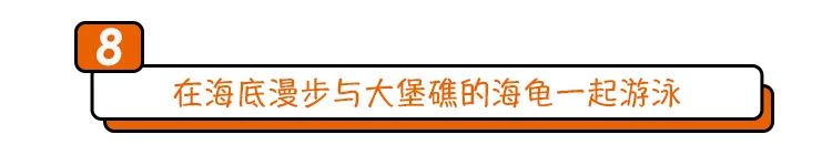 寻找幸运锦鲤活动在哪,寻找锦鲤