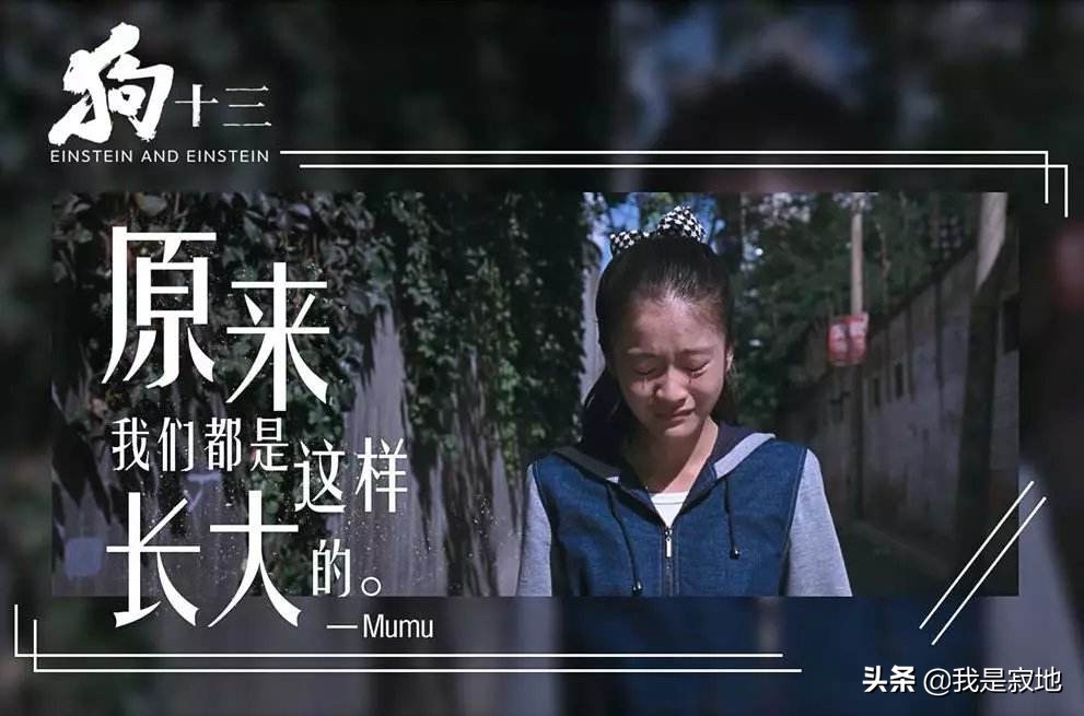 狗十三懂事的孩子让人心疼,狗十三终于成为了我们希望的样子