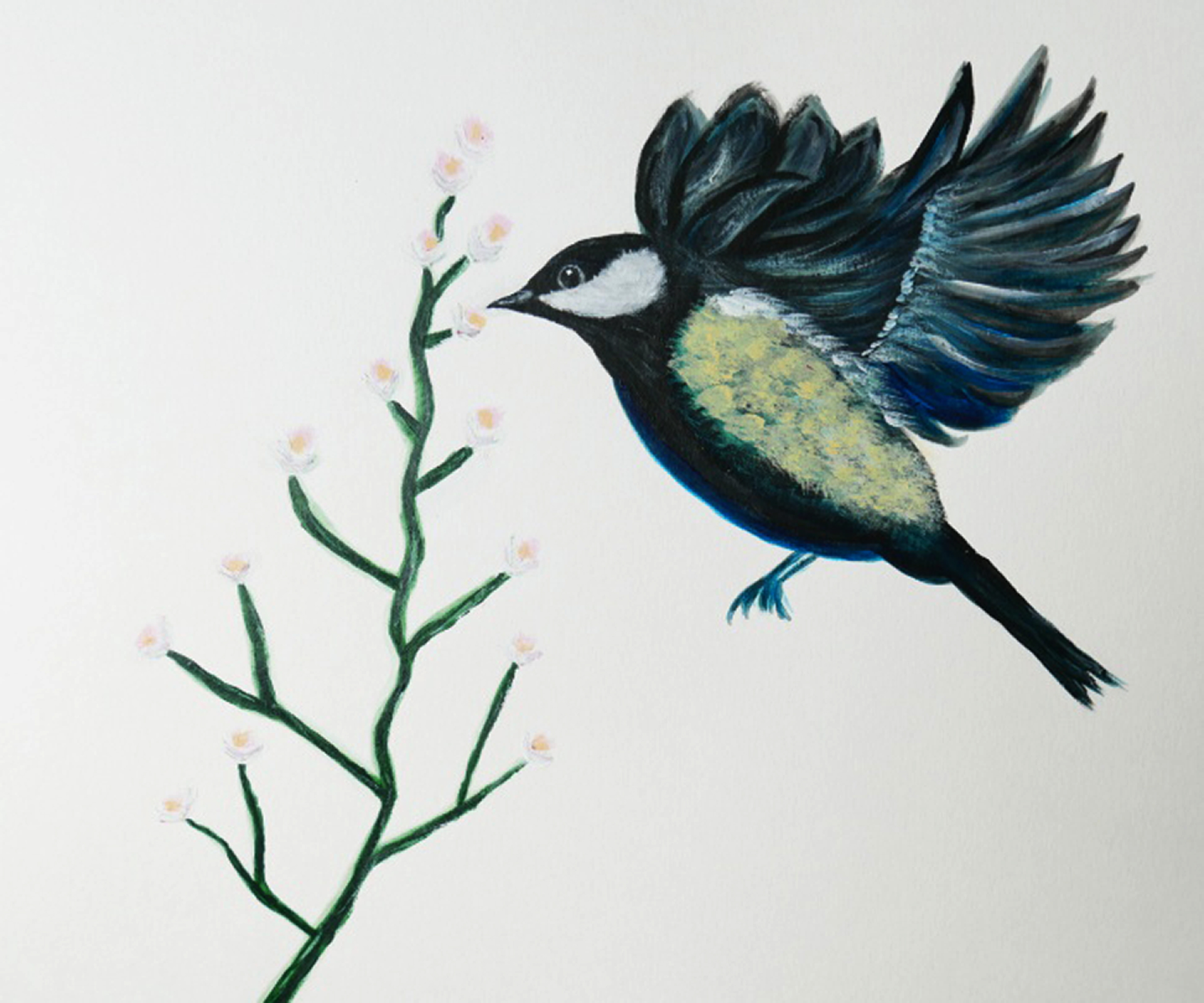 如何找到自己想要的高清素材,关于烦恼的素材