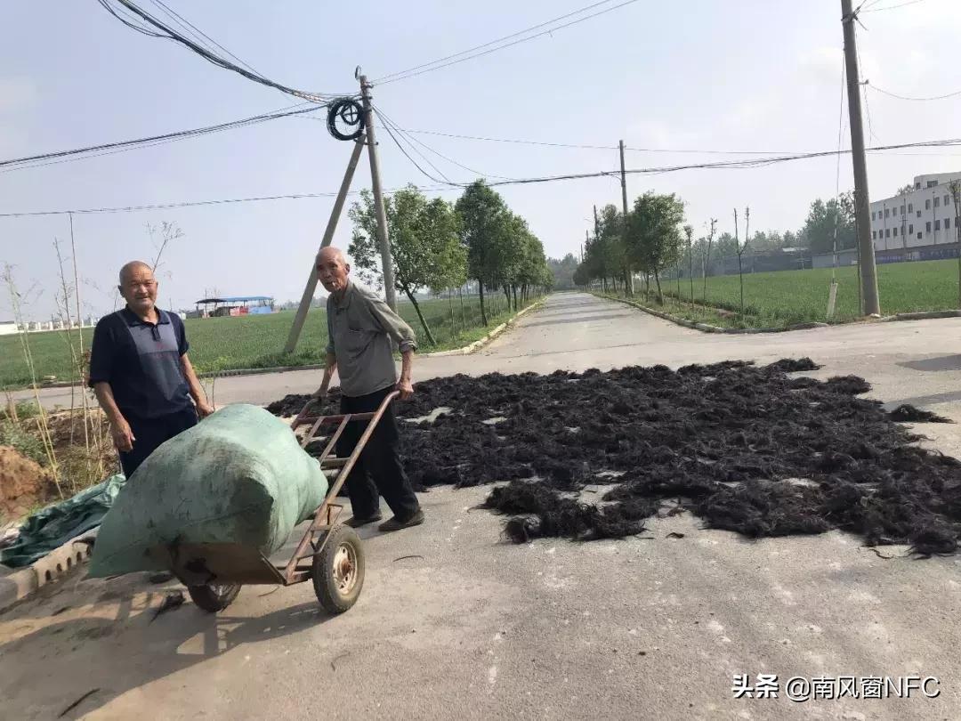 假发之都许昌版,假发之都许昌占比