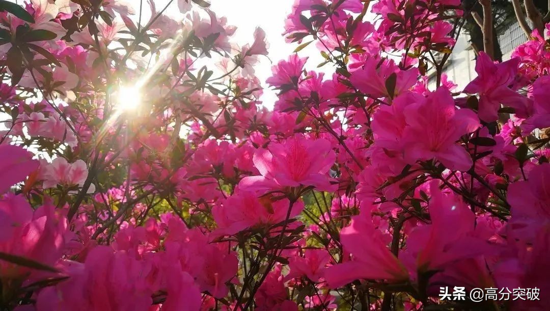 开学复课进行时,开学季告别暑假回归校园