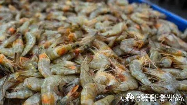 早安青岛新闻主持人,早安青岛每日天气预报