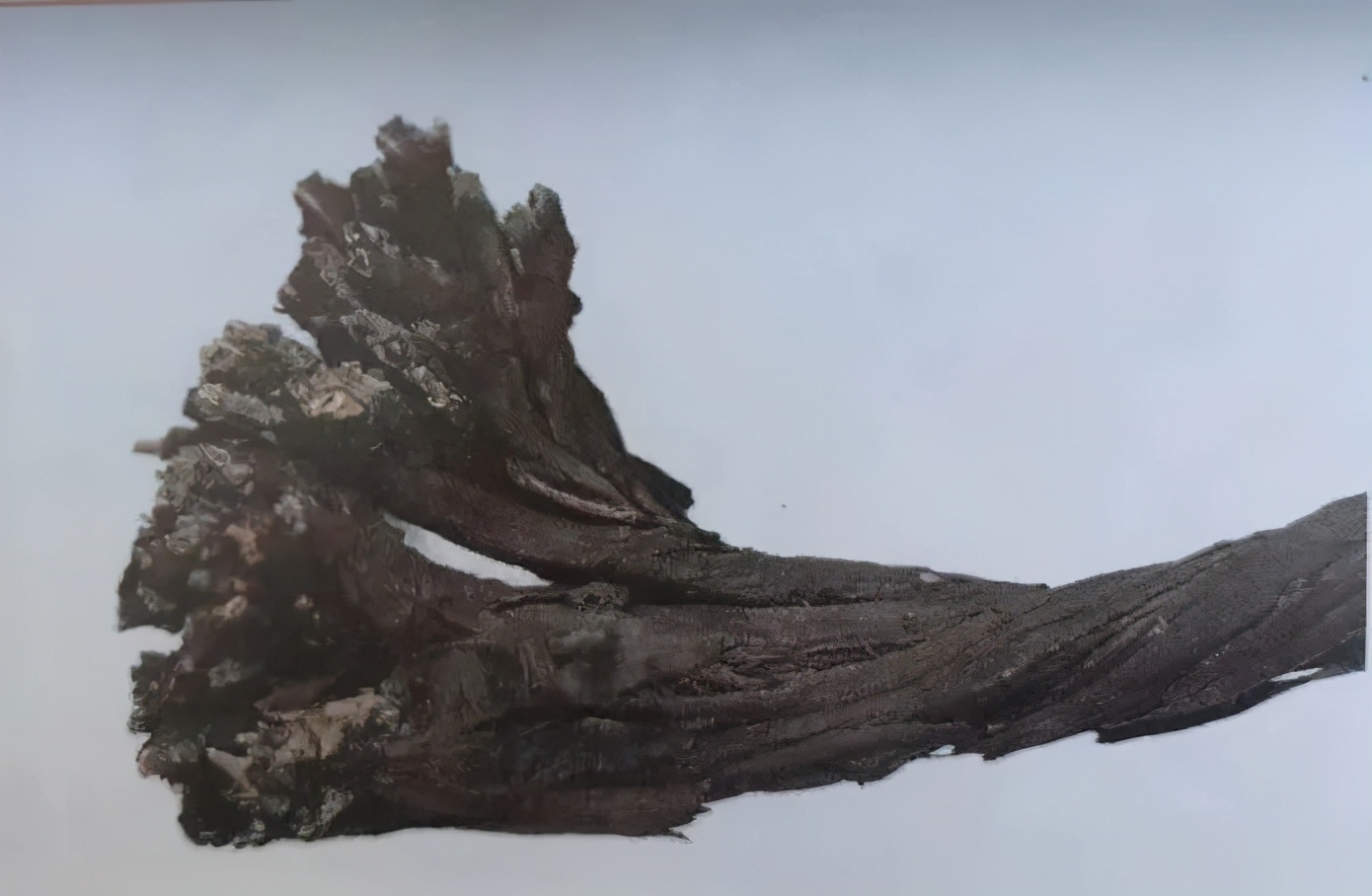 紫草中含哪些有效成分,紫草膏的紫草是什么样子