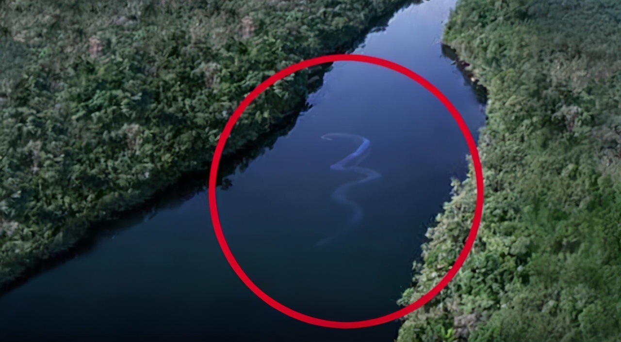 假如被蟒蛇吞下人类能剖腹自救吗,被蟒蛇生吞用刀能自救吗