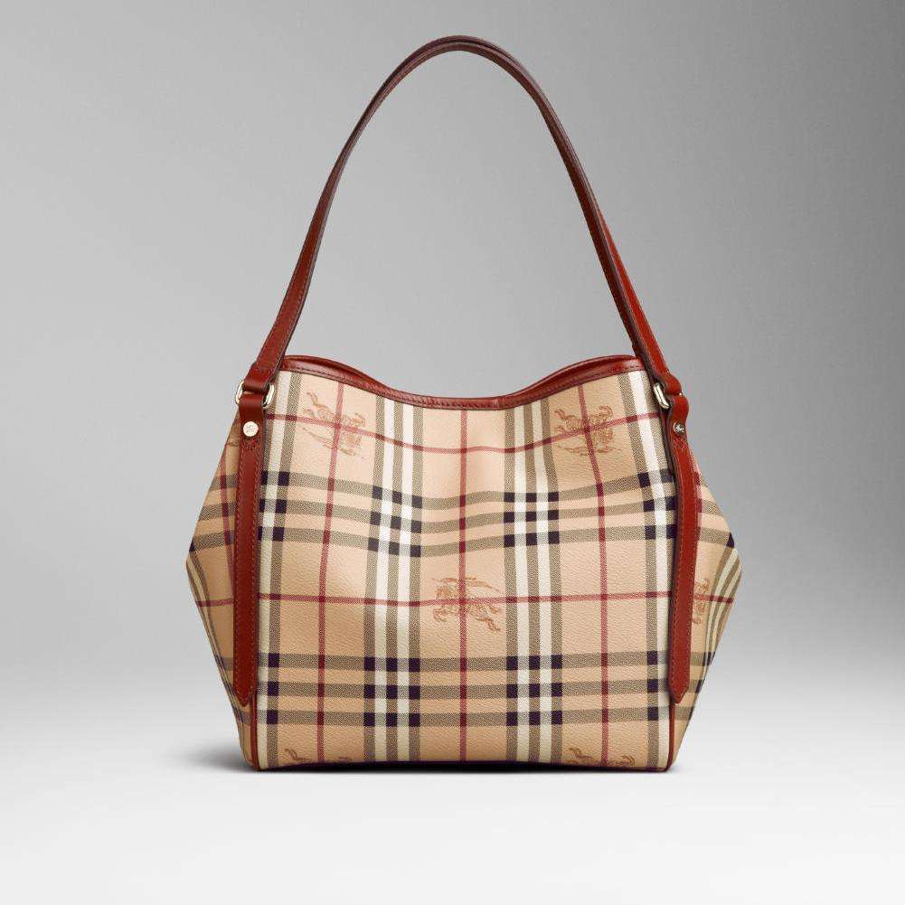 世界女包十大奢侈排行榜 (世界十大奢侈名牌包包排名)