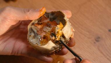 这么大的蟹粉灌汤包你吃过吗,用蟹粉烹制美味可口的蟹粉汤包