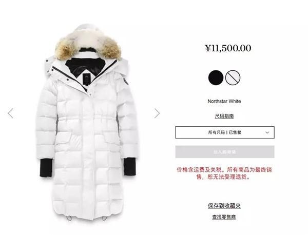 你轻易就买到的加拿大鹅，一定是假货