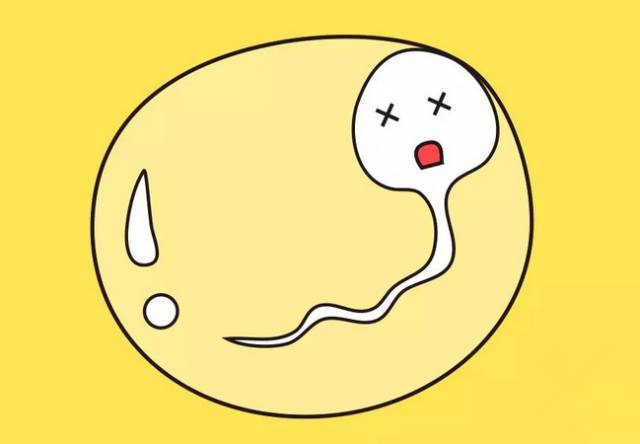 科普精子的几种死法