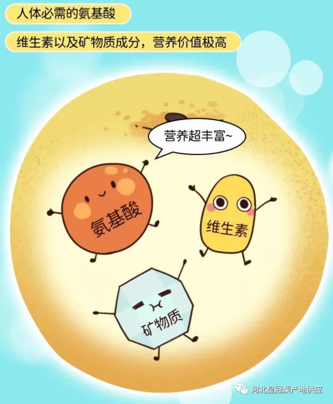 请收藏：皇冠梨的自述