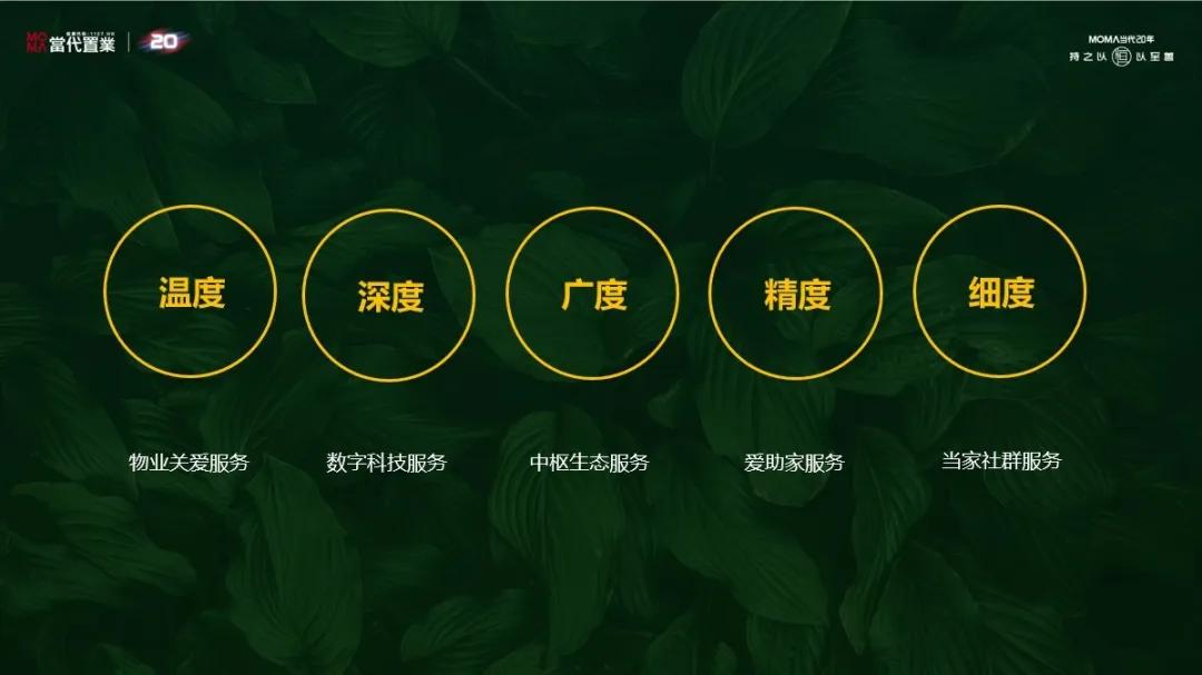 当代置业一季度,当代置业最新资讯