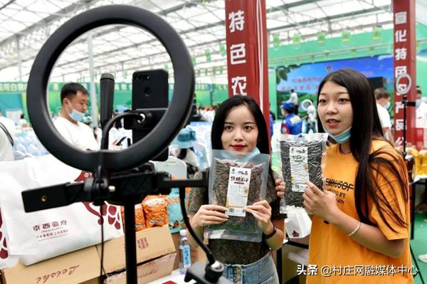 宣化直播带货基地,京西宣府农产品展销会