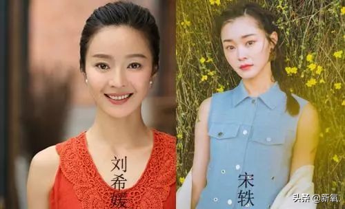 撞脸宋轶抖音,撞脸宋轶的人