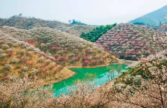 中国最美乡村Top10，有你家乡吗？