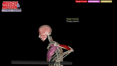 双杠臂屈伸做起来费劲咋办,双杠臂屈伸能练出来饱满的胸肌吗