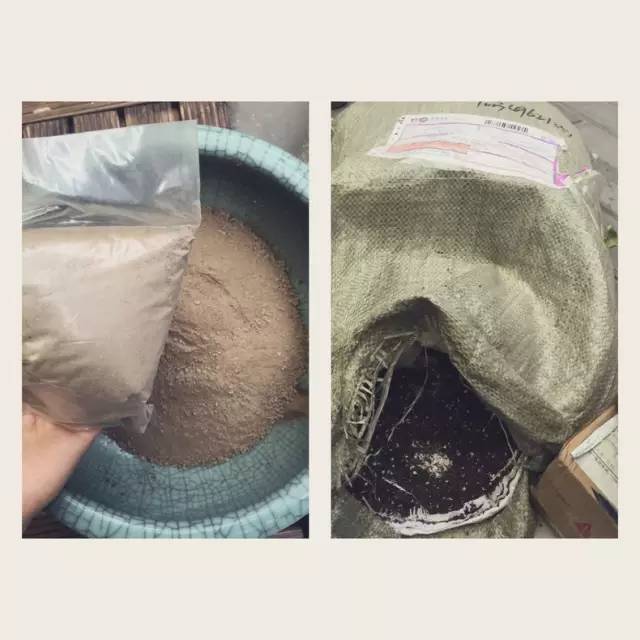 梦想改造家小户型,农村庭院改造效果图大全