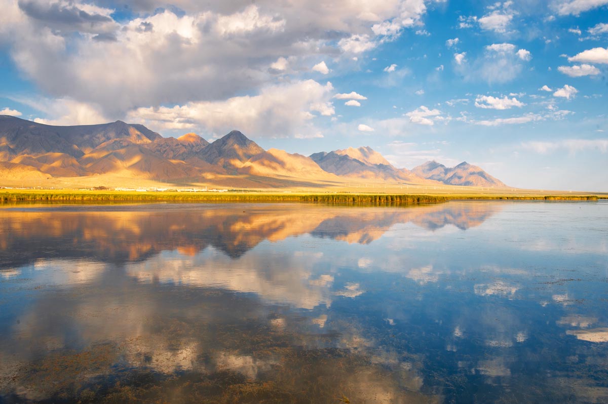 我的旅行日记之青海,我的旅行日记高原茶场