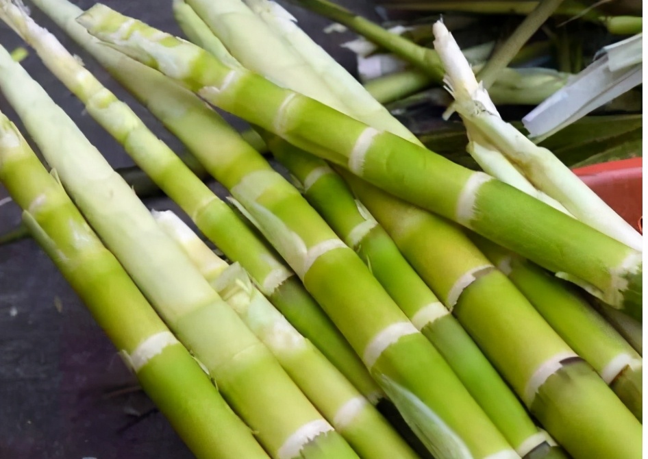 生长在深山老林，比苦瓜还苦，初春又上市，1斤20元，值得去采