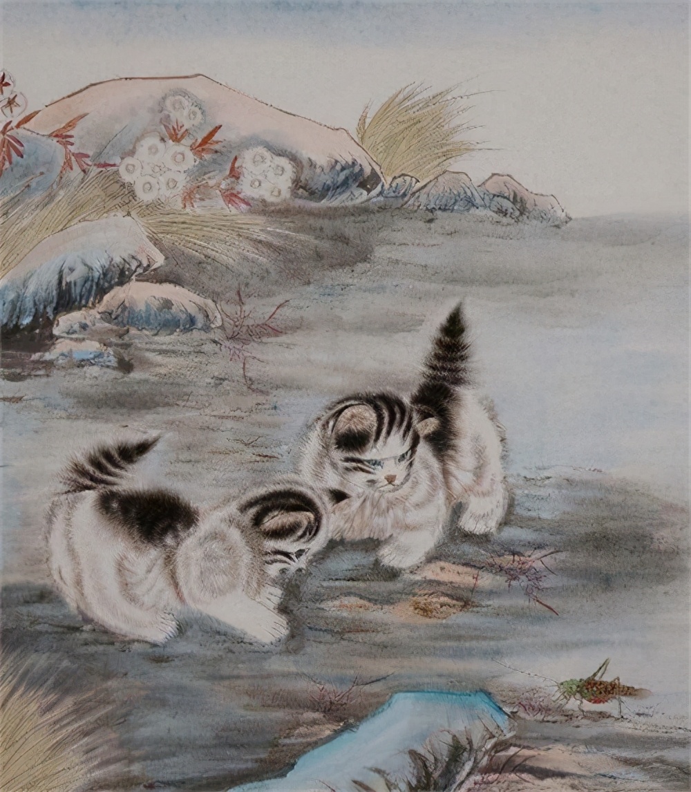 宫猫图鉴在哪儿,宫猫图鉴个人主页