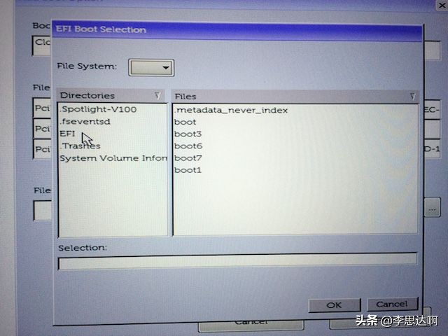 黑苹果安装软件要注意什么,黑苹果安装哪个版本合适