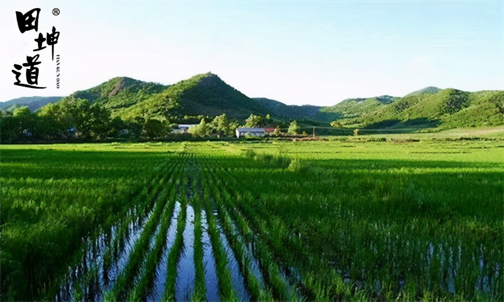 田坤道食品加盟总部在哪里,田坤道生态食品加盟利润高吗