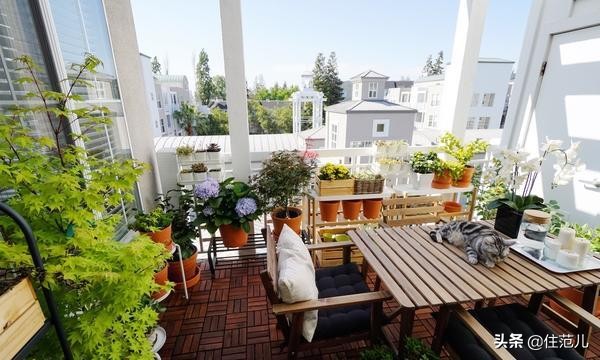 碧桂园阳台花园打造方法,50平打造网红阳台