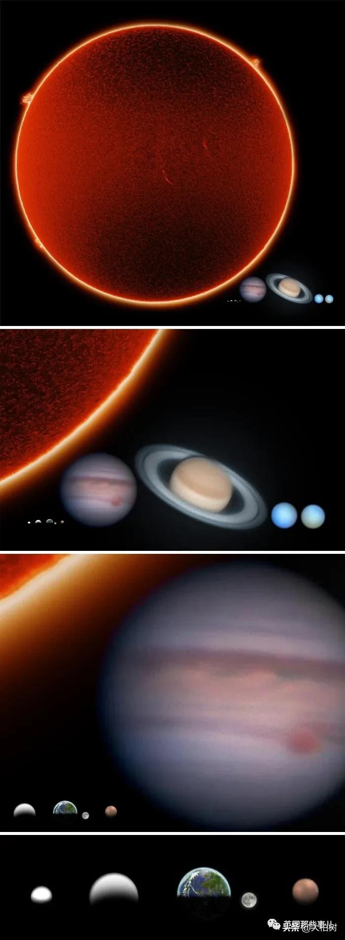 蓝鲸到底有多大,直观感受蓝鲸有多大