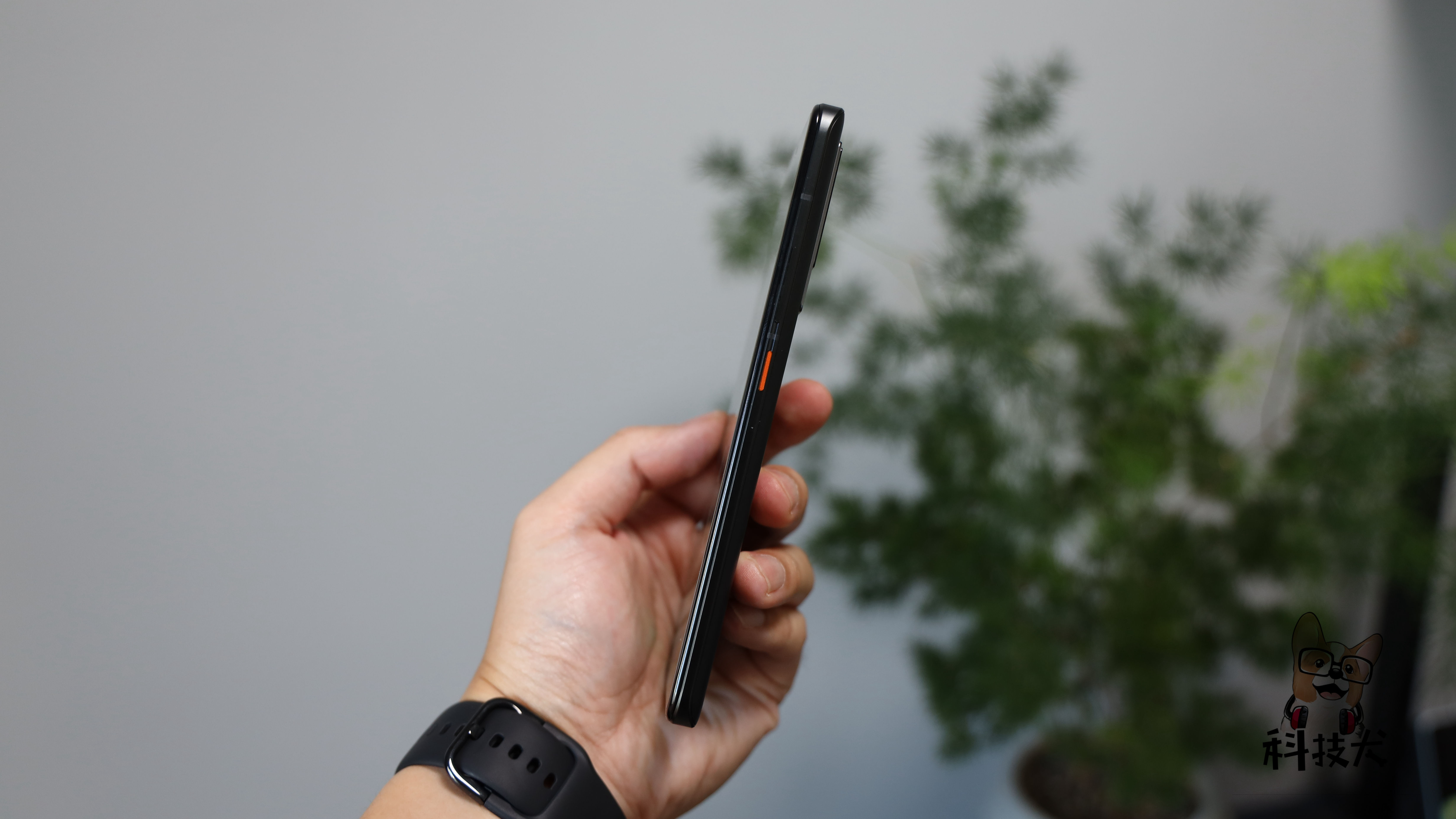 黑鲨4spro和iqoo8pro游戏对比,科技犬电视评测