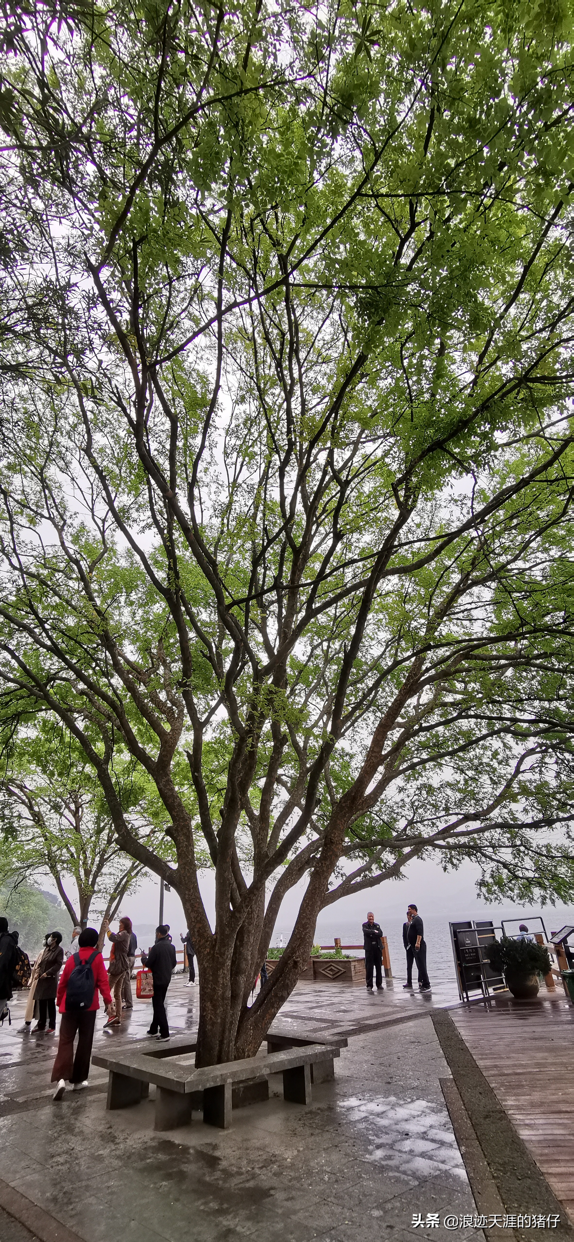 千岛湖疫情政策,千岛湖景区半价优惠