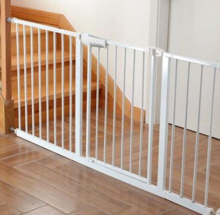 猫咪走失最有效的方法,猫咪走丢1周怎么寻回