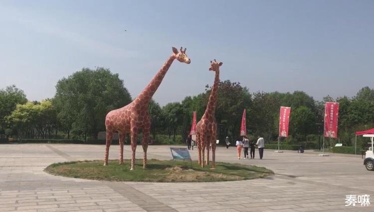 洛阳隋唐植物园五一期间要门票吗,五一去昆明植物园还有花可看的吗