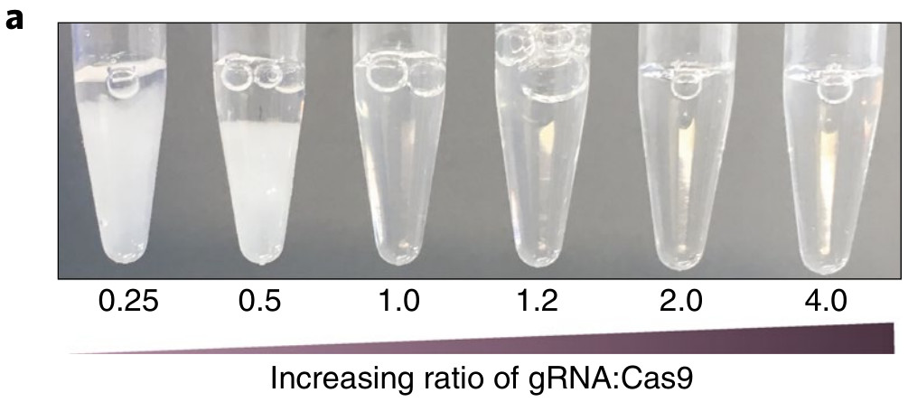 大大提高CRISPR基因编辑效率，细胞免疫治疗迎来巨大突破