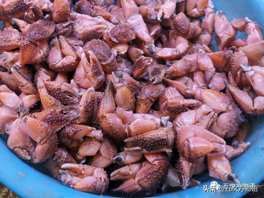 青岛海鲜市场价格表今日,青岛哪个农贸市场海鲜最便宜又好