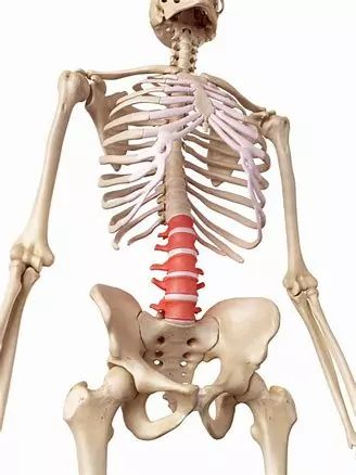 各类运动护具用法,ack护腰带使用方法