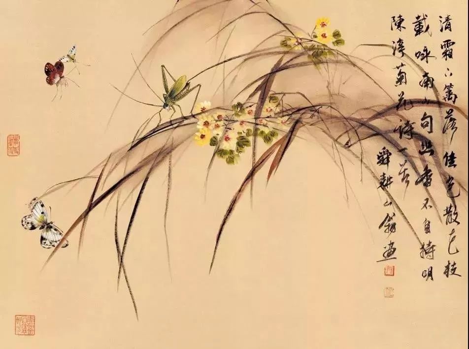 齐白石水墨小品欣赏,齐白石虫草长卷