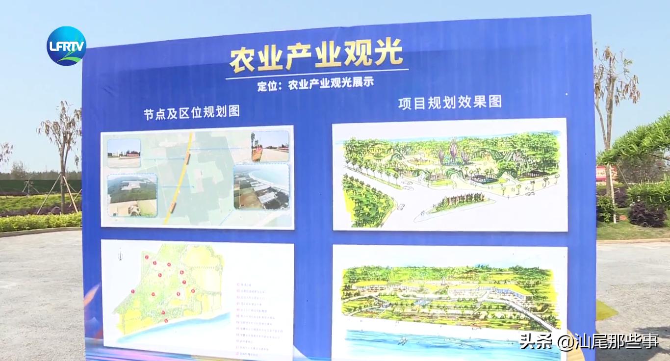 民宿推介大会，广东陆丰签下438亿大单！陆丰起飞？