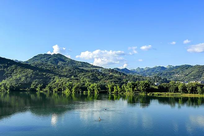 巨山花园别墅在什么区,巨山花园洋房一楼带院