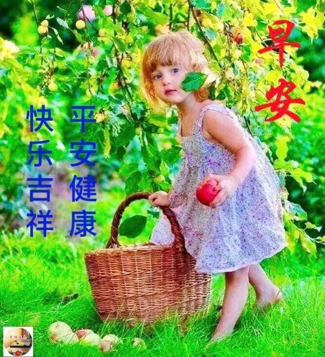 早上好图片早安祝福语,早上好特别漂亮早安祝福动态图片