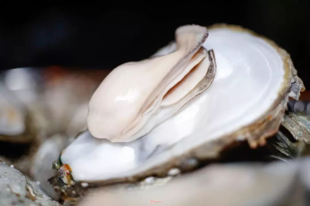 海口小酒吧,海口必玩的酒吧